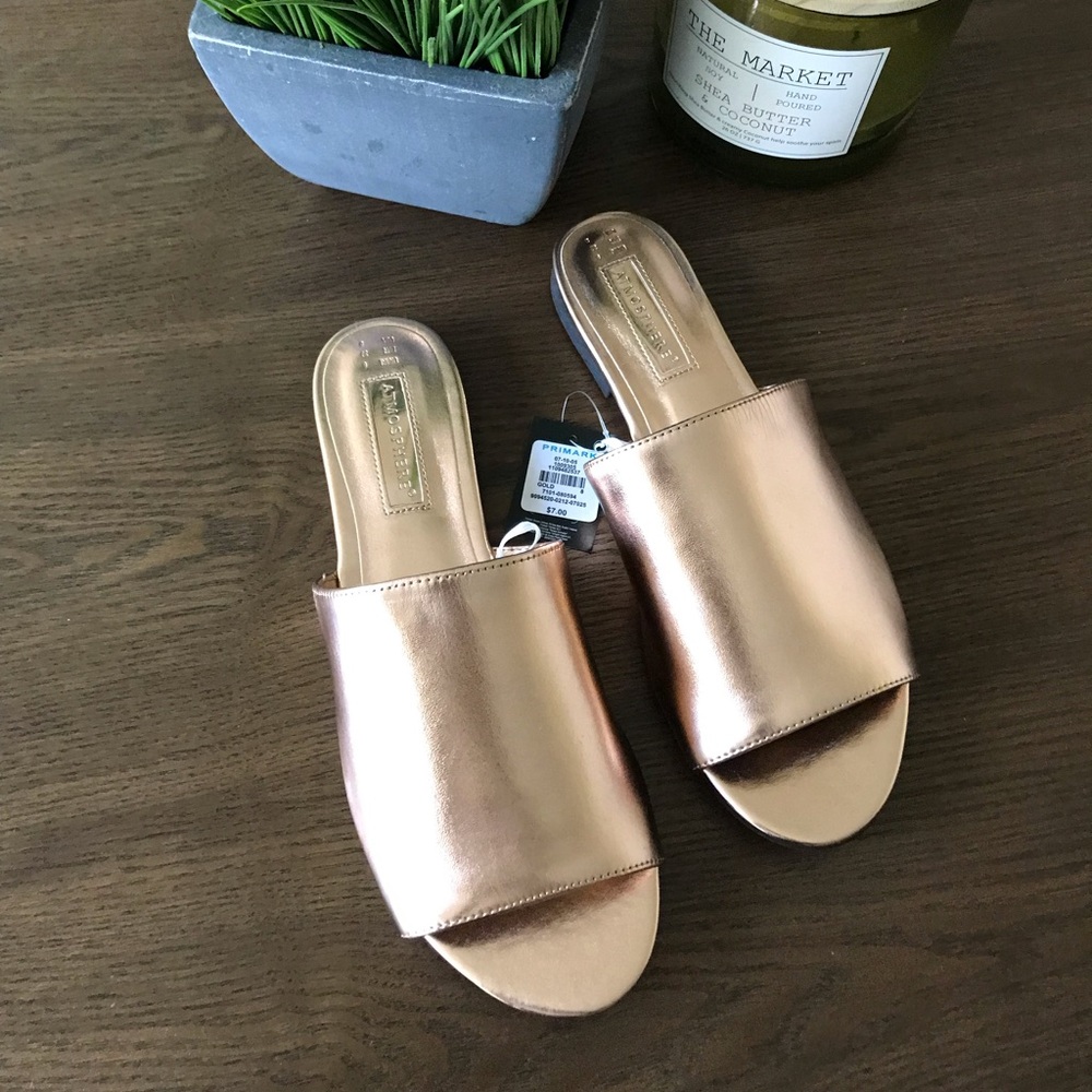 Gold/Bronze Flat Sandal